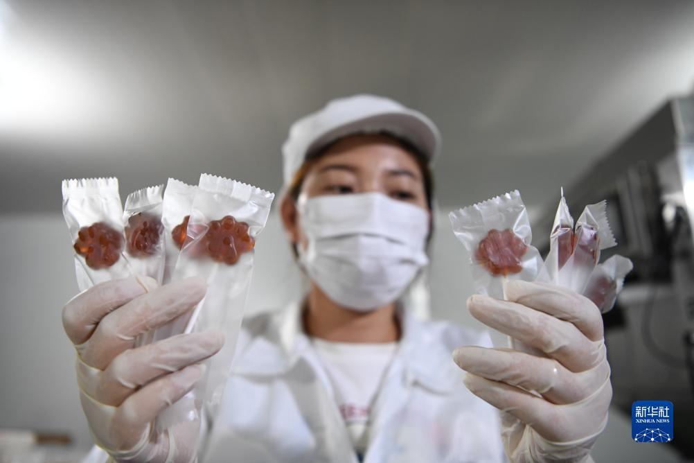 波克怎么从渠道包登陆